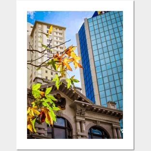 Auckland City in Autumn. Posters and Art